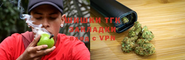 сатива Осинники